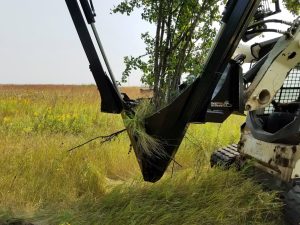 Tree Spade in field