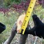 measuring log