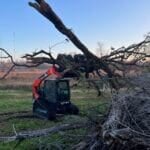 skid steer grapple rake moving trees