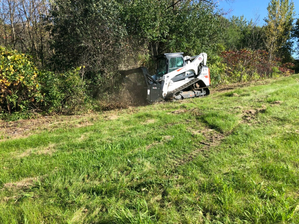 skid steer forestry mulcher in field