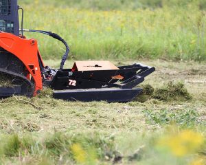 Brush Clearing