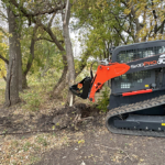 pulling tree from ground