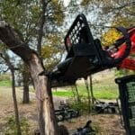 tree shear cutting large tree