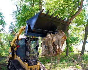 4 in 1 bucket grabbing stump