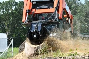 stump grinder grinding stump