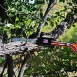 tractor tree saw