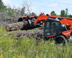 rock grapple with log