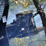 tree saw cutting from behind