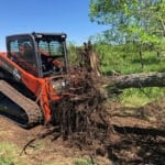 stump bucket with big tree