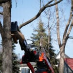 mini skid steer log splitter picking up a log