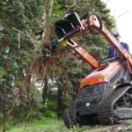 mini tree puller with root ball
