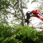 tree puller outside
