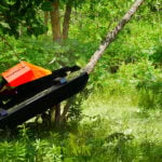 brush cutter cutting tree