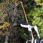 limb saw cutting high tree