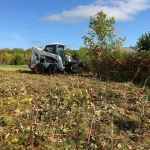 Forestry Mulcher SP 300 in field 1