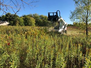 500-Mulcher-Field-1