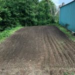 Field
