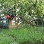 Industrial Forestry Mulcher in Field