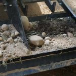 land-leveler-with-screen-skit-sifting-rocks