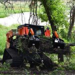 rock-grapple-with-brush
