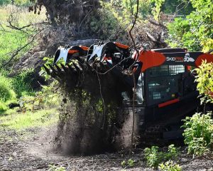 XHD Skeleton Grapple