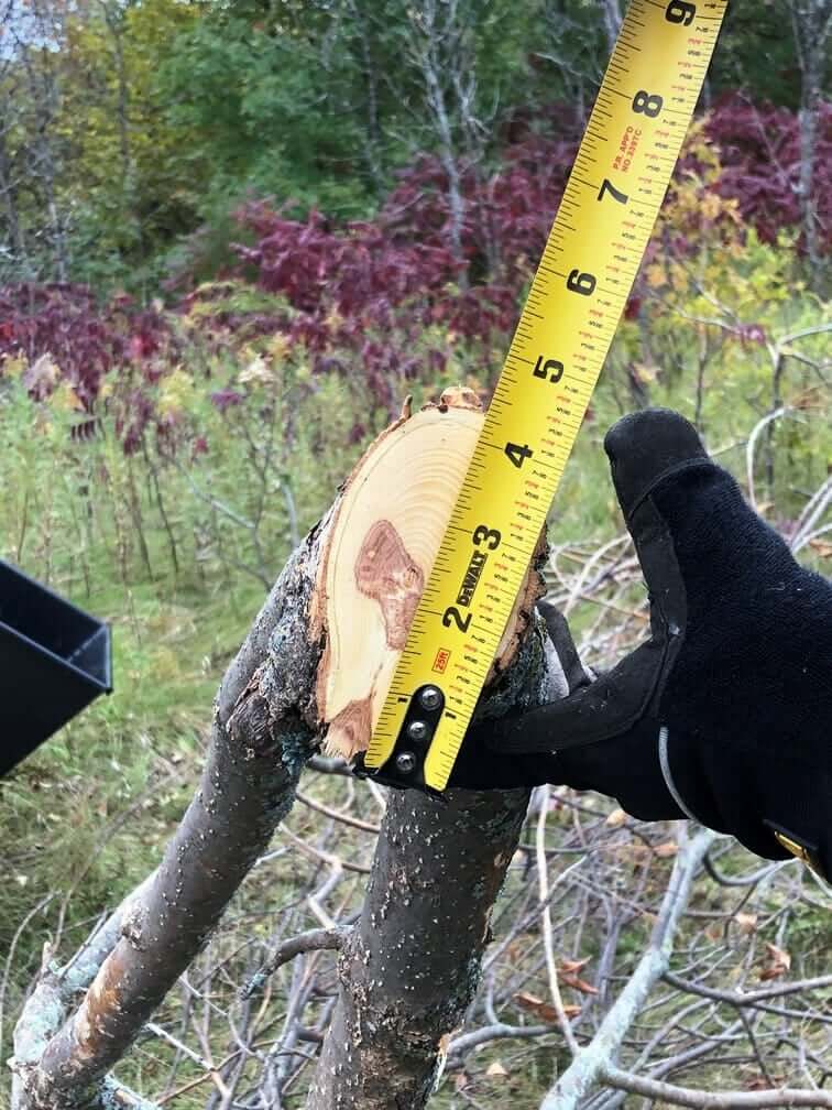 Mini Wood Chipper