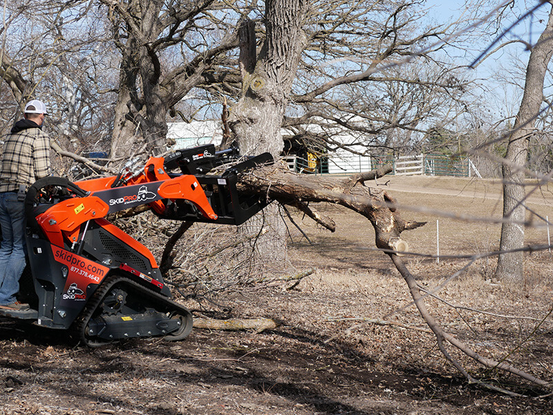 Mini Skeleton Grapple