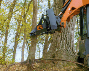 tree puller